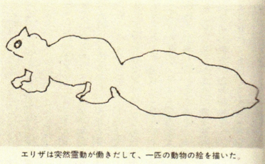 光本富美子 光本富美子