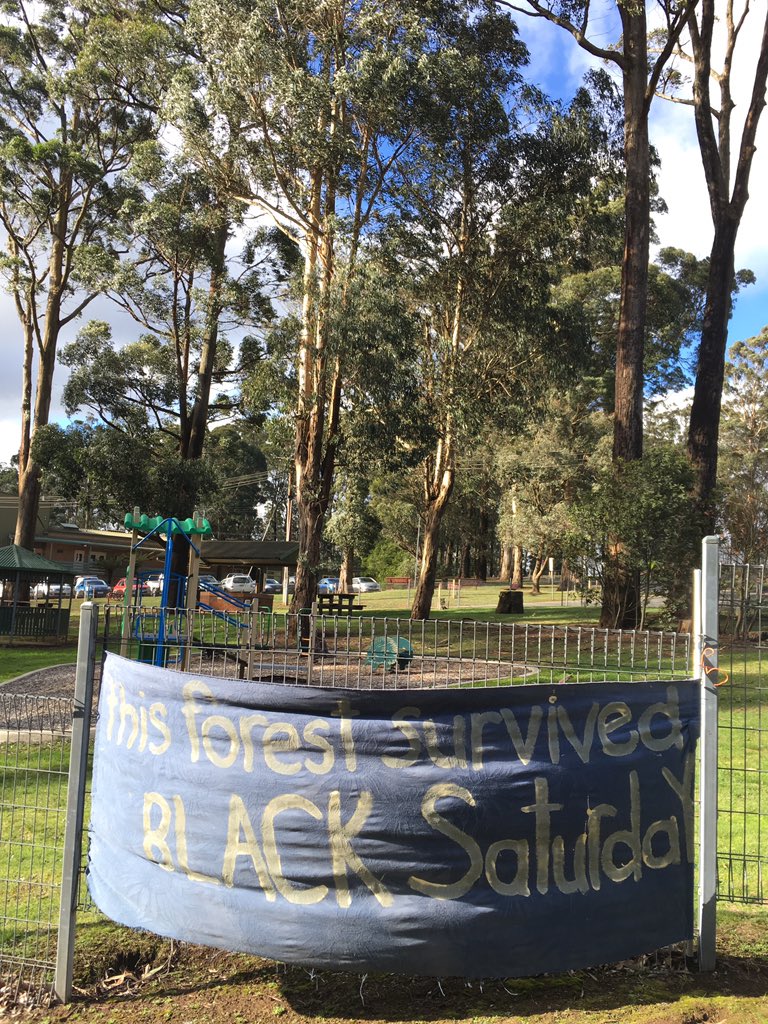 jillyfrees's tweet photo. @ourstrathforest @WildernessVIC @NotLaoTzu @mn_forests @bertbohosouth @delia49 @JCrooka @nettwalton @LilyDAmbrosioMP @JaclynSymes @swoopglideyglid @VicForestsComms #RejectReflex and buy recycled Burrows paper. This forest is high conservation & recreation value: stop trashing our public estate #logOFFKinglake #ExtinctionCrisis #SpeciesCollapse https://t.co/Jn2r9aW1Yp