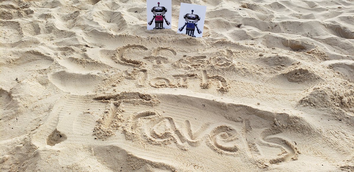 cfisdrthompson's tweet photo. Molly and Andy Punta Cana 2019 #cfisdmathtravels https://t.co/szmVKFS2Ji