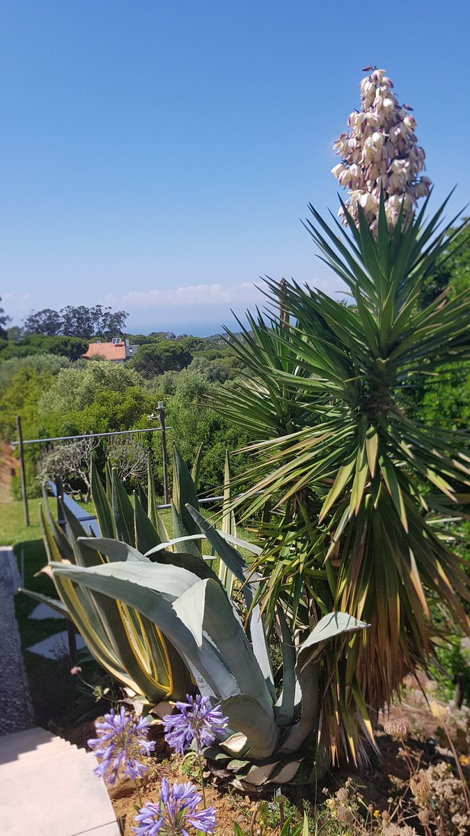 hjtenhagen's tweet photo. #Kreditkarten Ärger im #Urlaub: #Debitkarten, mit denen sofort vom Konto abgebucht wird, haben auch Kreditkartenlabel.  Kaution hinterlegen etwa beim #Auto mieten funktioniert dann oft nicht. @ing stellt Millionen Karten um. Tipps im @Finanztip Newsletter https://t.co/4d0FdnaHVu https://t.co/ZVwGg8JYMA