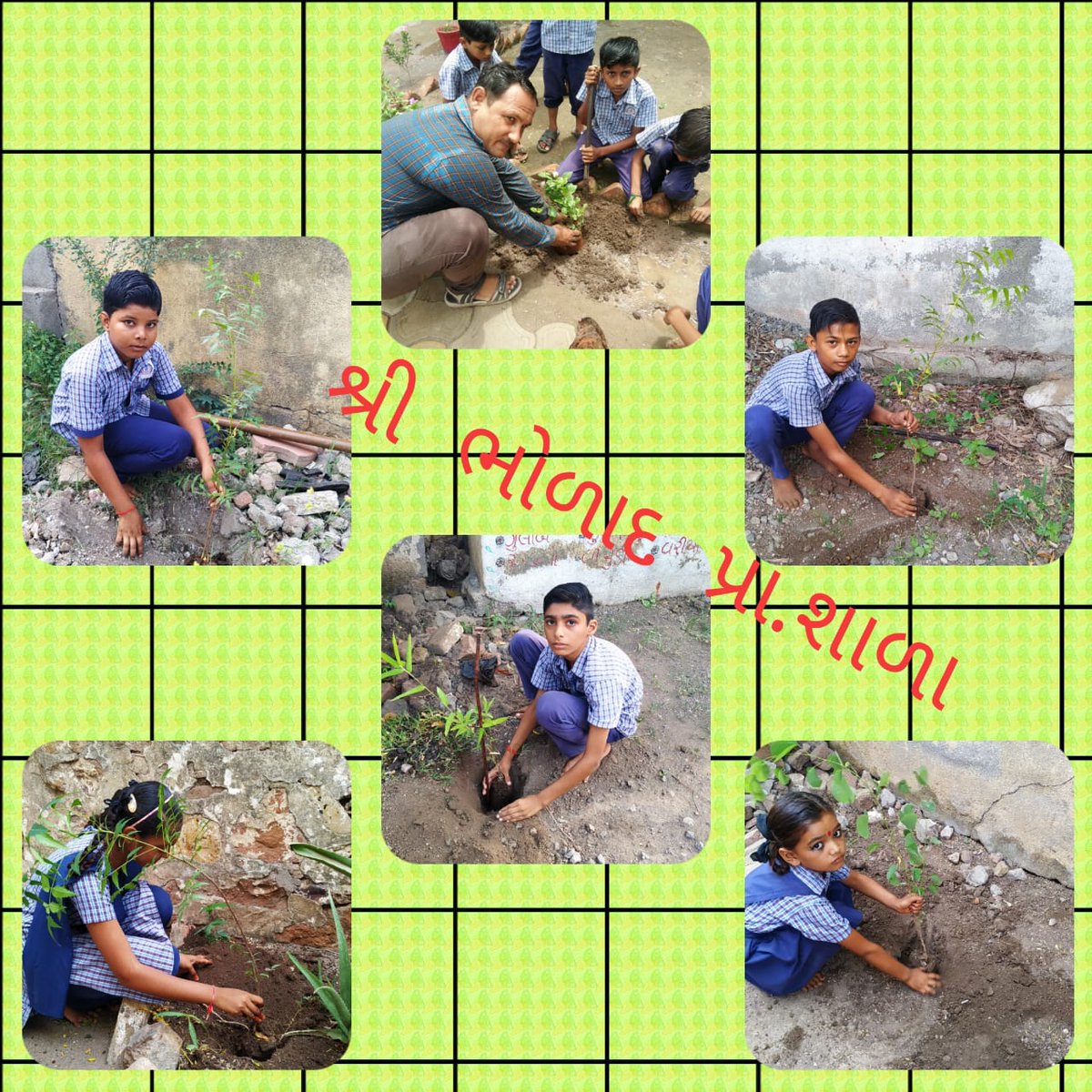 BvnShihor's tweet photo. એક બાળ એક વૃક્ષ યોજાના અંતર્ગત શિહોર તાલુકાના Ghanghali ક્લસ્ટર ની #Bholad પ્રથામિક શાળા મા વૃક્ષ રોપણ કરવામાં આવ્યું.. @ddobhavnagar @CMOGuj @BhupendraSinh1 @gujaratssa @BholadSch @BhavnagarDpc https://t.co/NHCeyYH93C