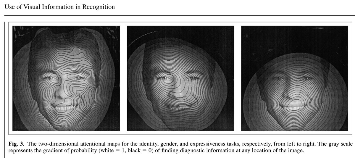 Contour maps of regions of the face that people look at to determine identity, gender, and expression, according to  https://journals.sagepub.com/doi/10.1111/1467-9280.00472