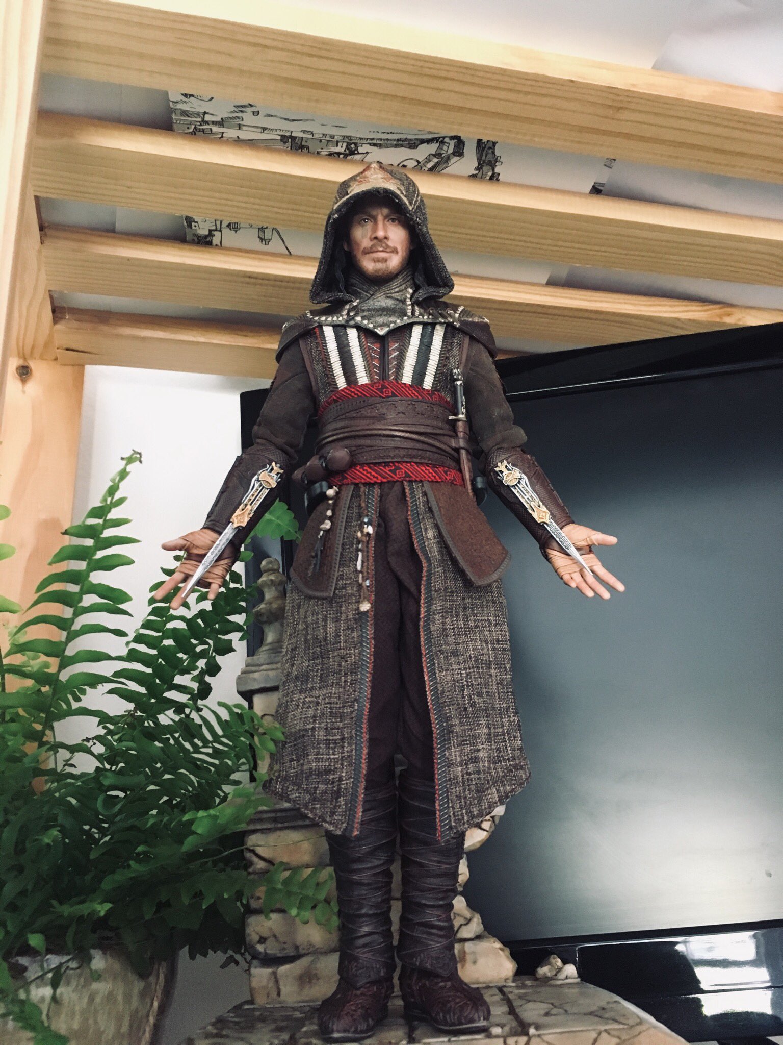 Damtoys assassin's creed sales aguilar