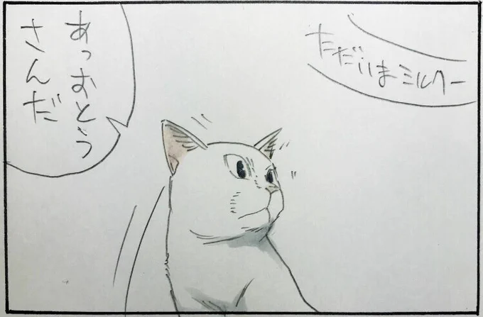『ミルクスイッチ』 