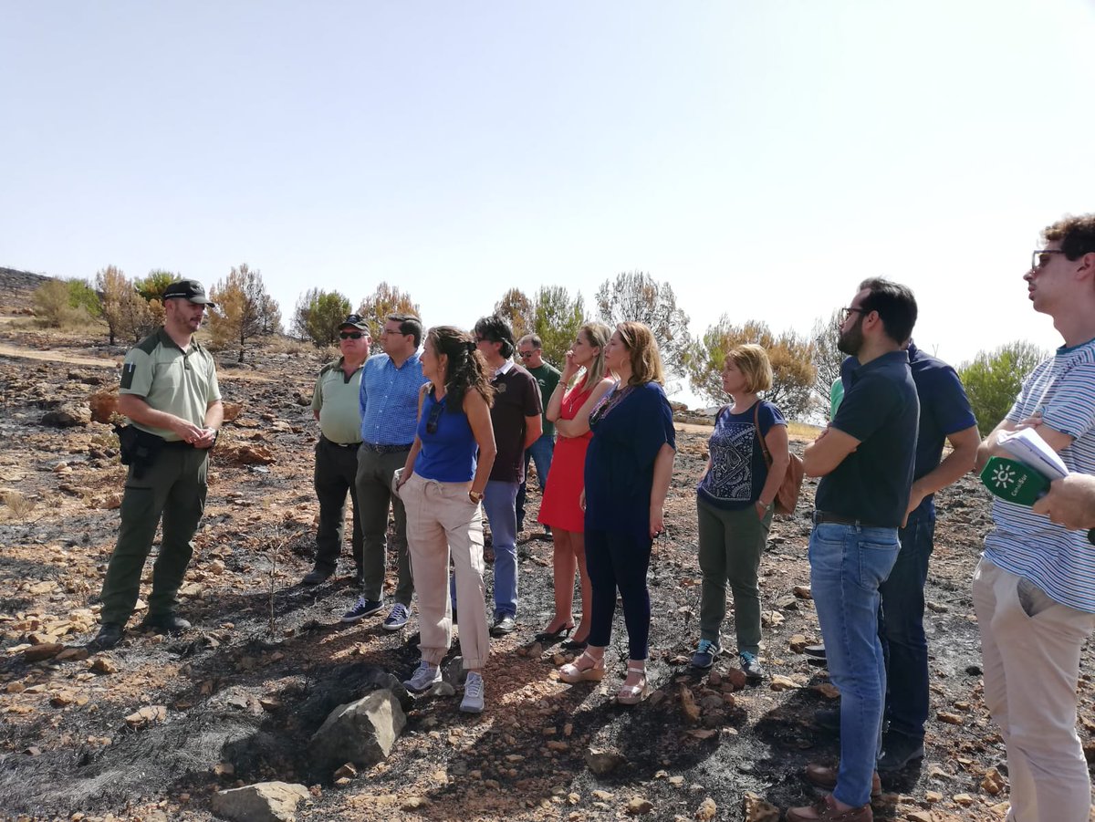CarmenCrespoPP's tweet photo. La @AndaluciaJunta vela por la preservación de los montes públicos de Andalucía y por ende por la restauración de las zonas quemadas en #IFTerque #IFBeas https://t.co/ulB65XyjSQ