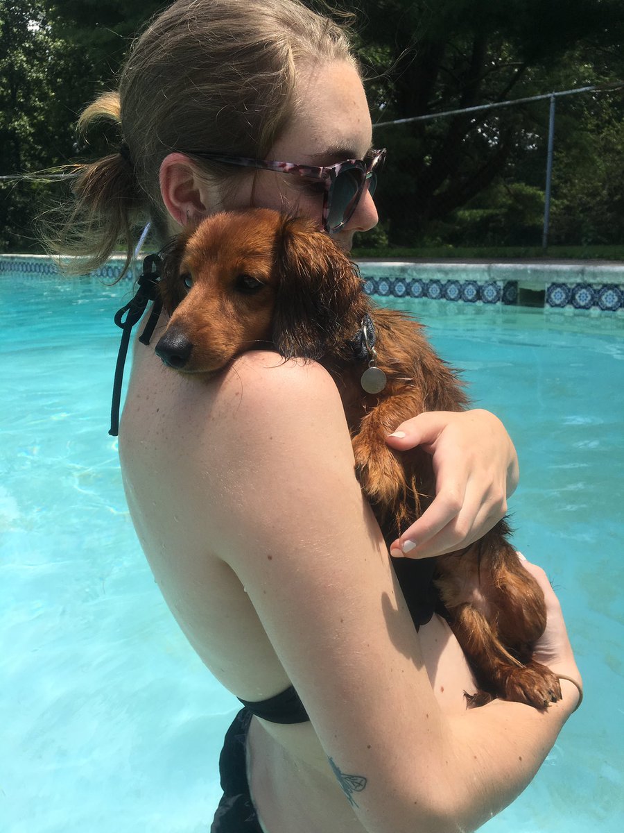 thefinALLI's tweet photo. Growing my weenie dog army 1 pup at a time https://t.co/9v0yQqIjkm
