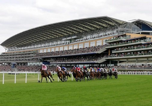 whitehorsecontr's tweet image. Visiting The Game Fair this week? Drop by stand A51 in the land management zone. David Smith and team are looking forward to meeting you #whitehorsecontractors #soilengineering #waterengineering #countryparks #naturalhabitats whitehorsecontractors.co.uk/html/news.html