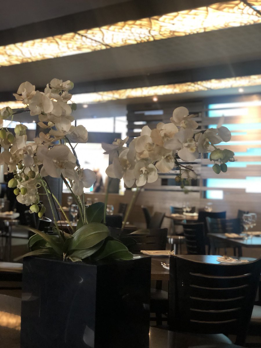 The perfect set up to start your week - wangthai is ready for your arrival. Find us on @nelsonmandelasquare in the heart of Sandton City #johannesburgrestaurants #wangthai #thaiafrica #thaicuisine #orchid #restaurantdesign #restaurants #johannesburg #sandtoncitymall <a href="/SandtonCity/">Sandton City</a>