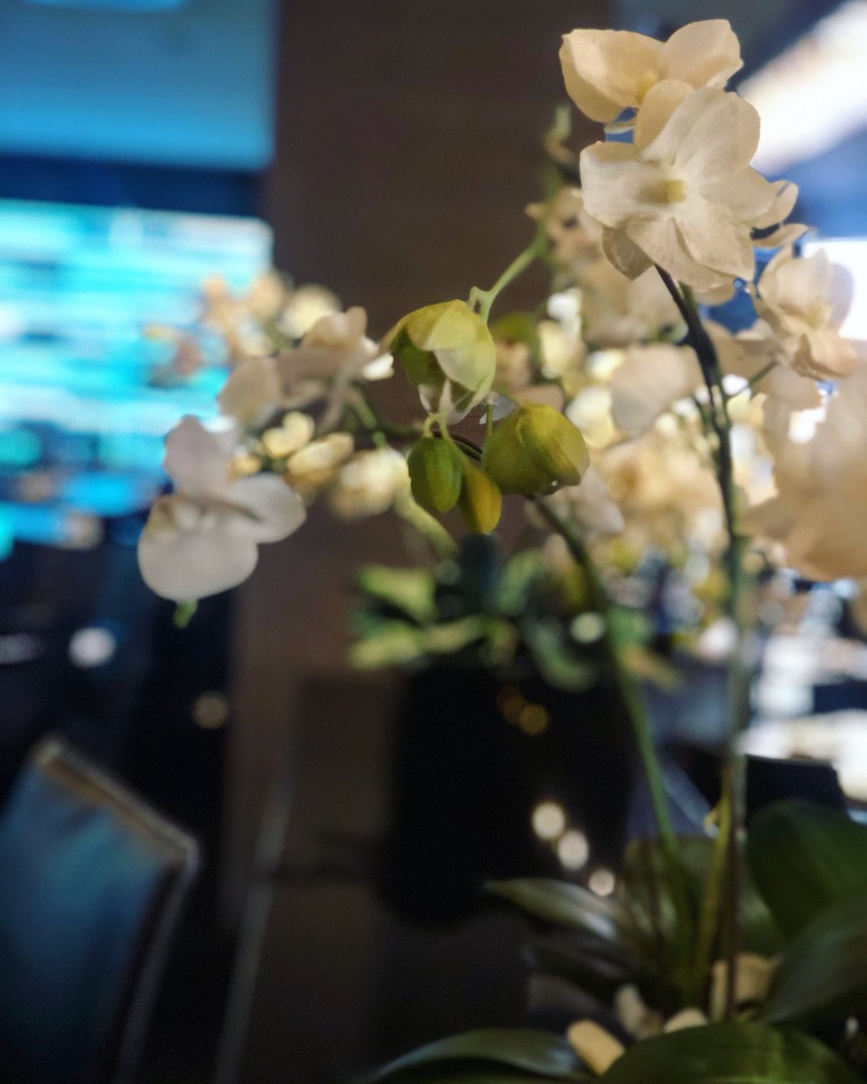 Did you know the orchid represents love, luxury, beauty and strength ✨ At <a href="/wangthaisandton/">Wangthai Sandton</a> we absolutely love the orchid with its strong symbolism that stands for elegance and beauty! @nelsonmandelasquare #wangthai #nelsonmandelasquare #thaicuisine #orchid <a href="/SandtonCity/">Sandton City</a>