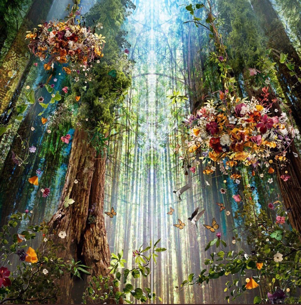 joybellabella's tweet photo. Open your eyes to the beauty around you.
Open your mind to the wonders of life.🌷
 #MondayMotivaton https://t.co/osfIMvgIor