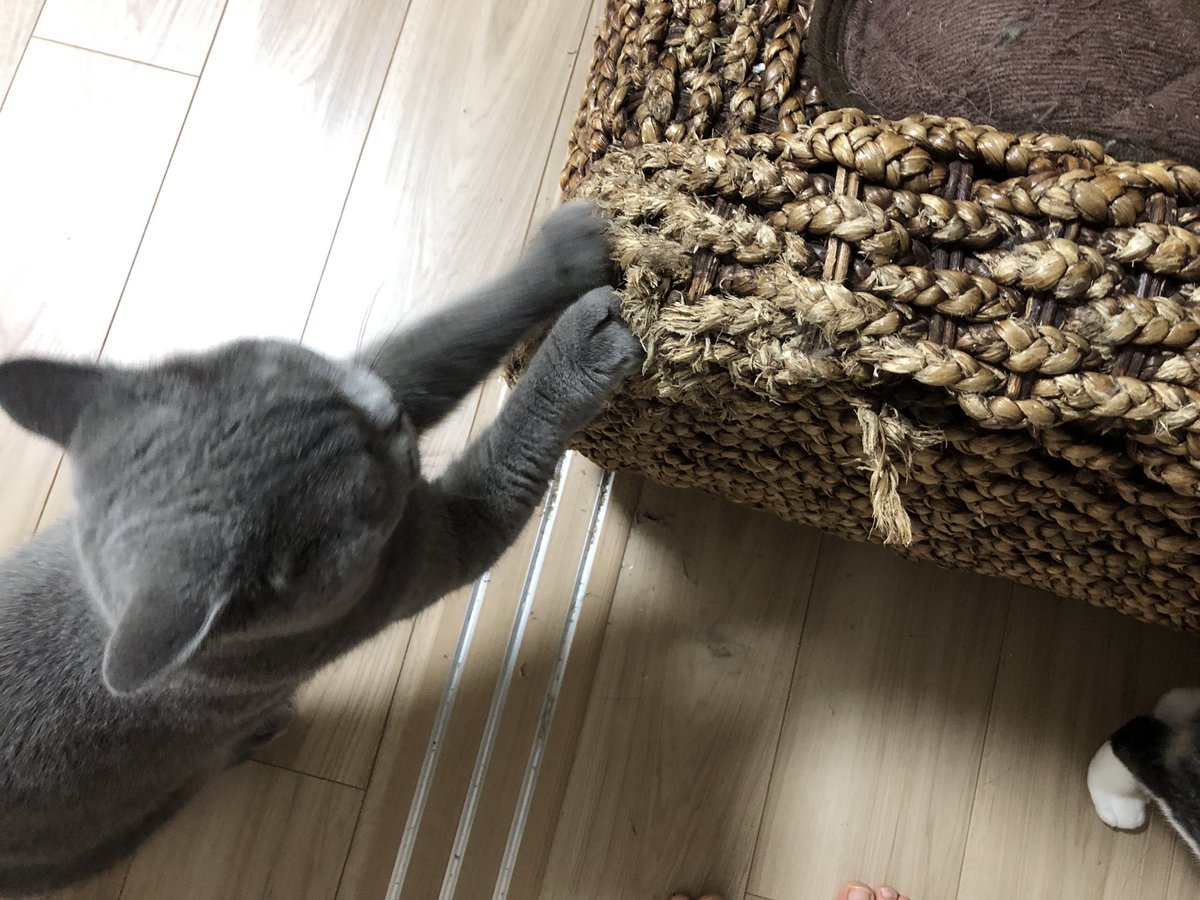 ゴミが散る hashtag on Twitter