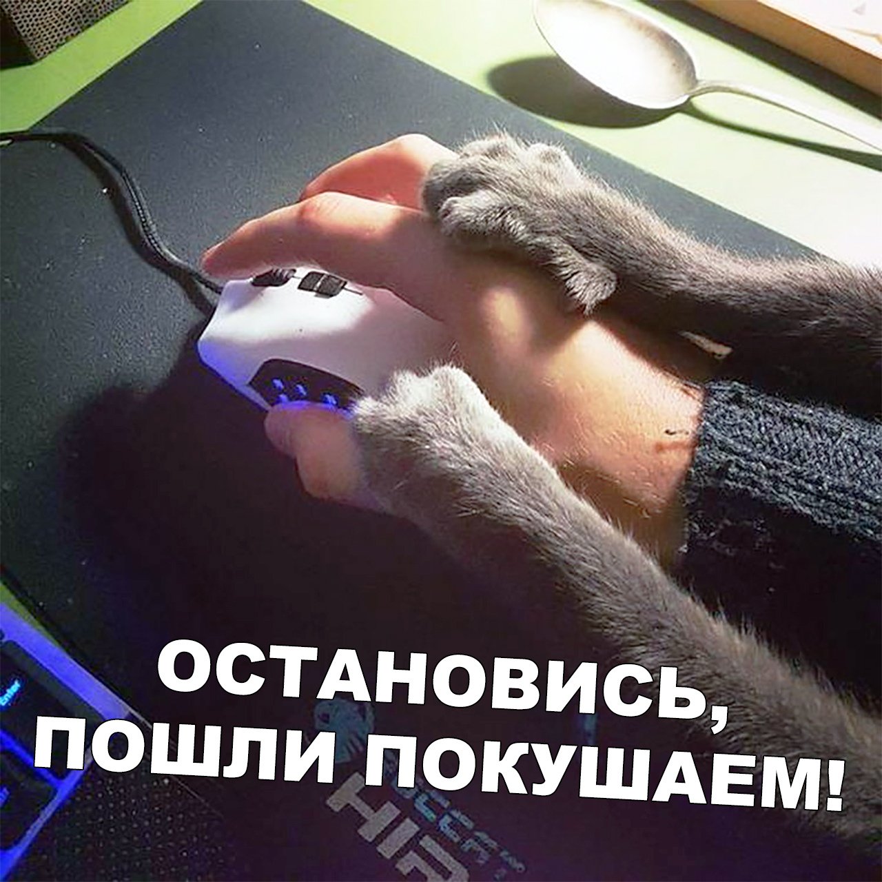 Пойдем перекусим