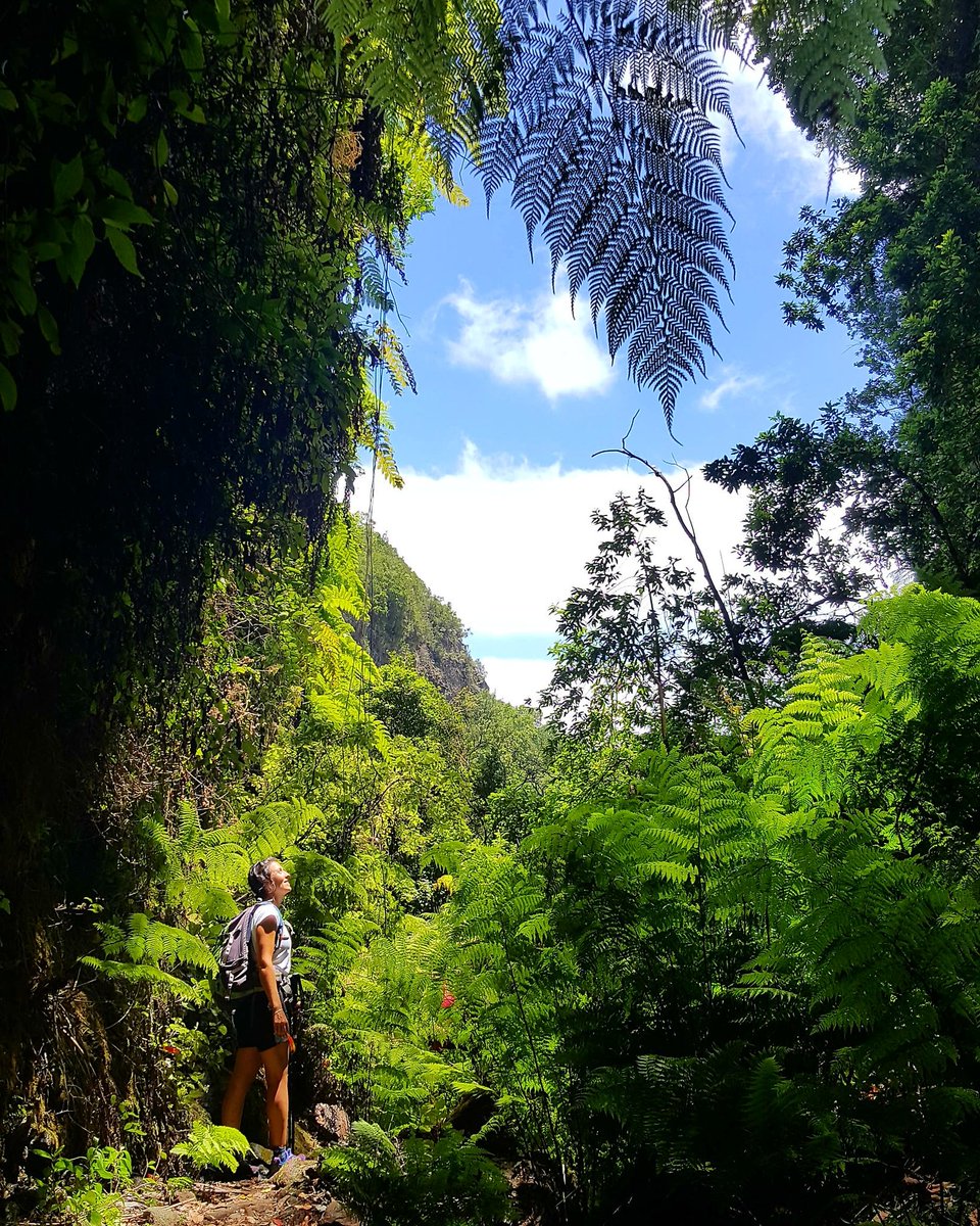 Siente La Palma 
Viajes especiales para grupos pequeños donde conocerás los rincones más especiales de La Palma 
#viajes #senderismo #aventura #lapalma #laislabonita