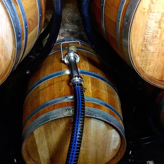 Aujourd’hui, soutirage et entonnage de la récolte 2018 du @chateaualverne !🍷🍇Saviez-vous que les barriques détiennent leur origine de nos ancêtres les Celtes ? #instantsaintemilion #vinssaintemilion #saintemilion #nouvelleaquitaine #soutirage #entonnage #producteur #recolte2018