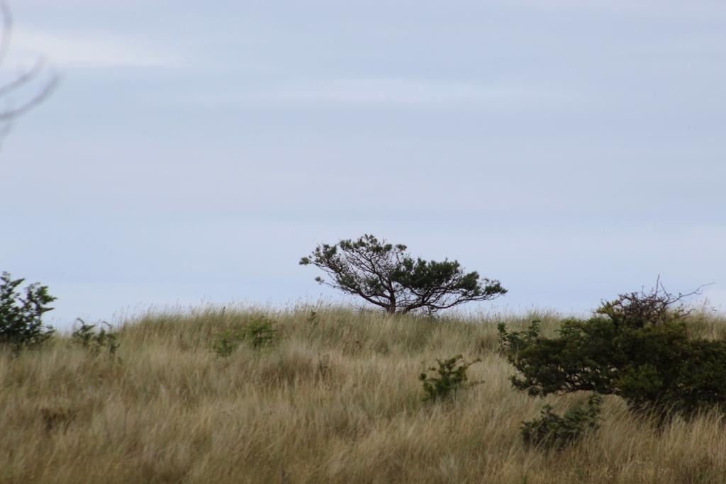 SDLMartinCole's tweet image. &quot;Coaching is fundamentally future focused, concerned with what people want to do and where they want to go rather than what they have done and where they have been&quot; lttr.ai/FYdv #Manager #leadership #Coaching #coachingformanagers