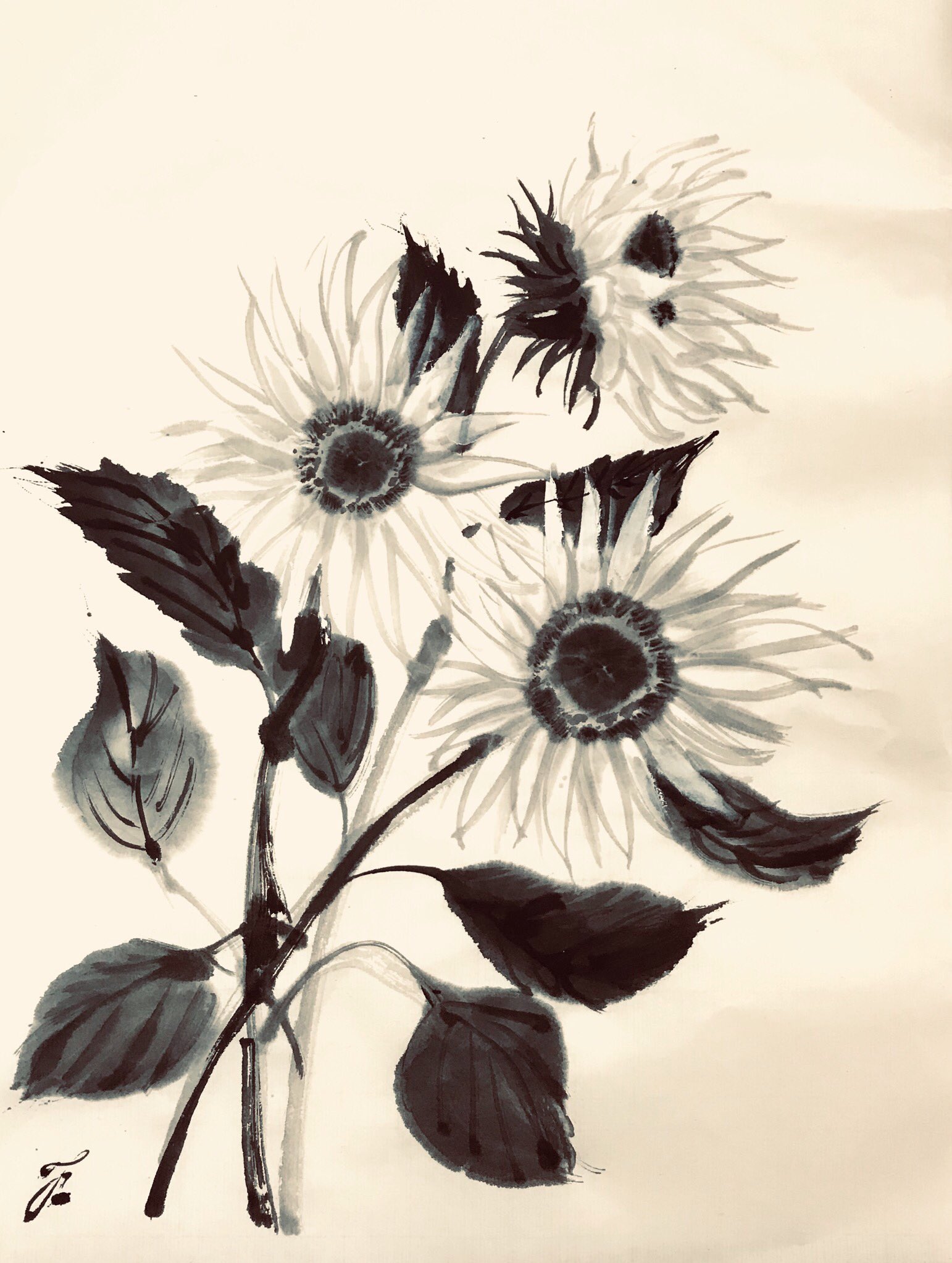 水墨画✦手描き✦ひまわり✦額付き 水墨画,ひまわりイラスト - No: 230384｜無料イラスト・フリー
