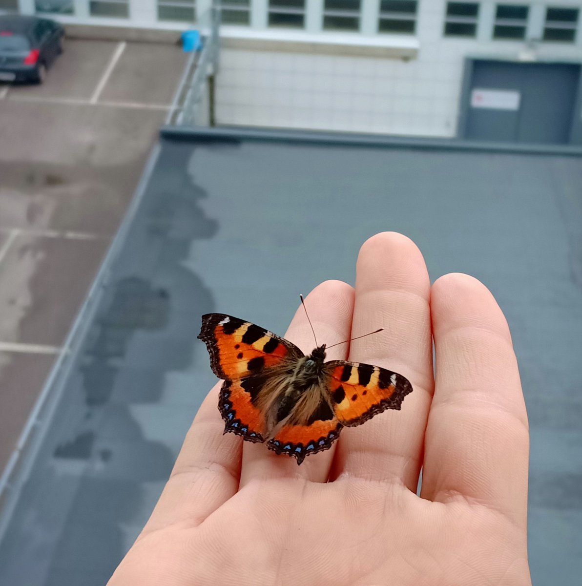 junastweeter's tweet image. 