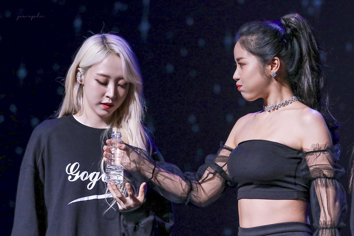 Purple910221's tweet photo. 190720 포스코 콘서트

https://t.co/NboKKfjnkD
https://t.co/T2gbCmOBYN
https://t.co/NYzOAGy4Ux

#마마무 #솔라 #문별 https://t.co/YlImm7qrXH