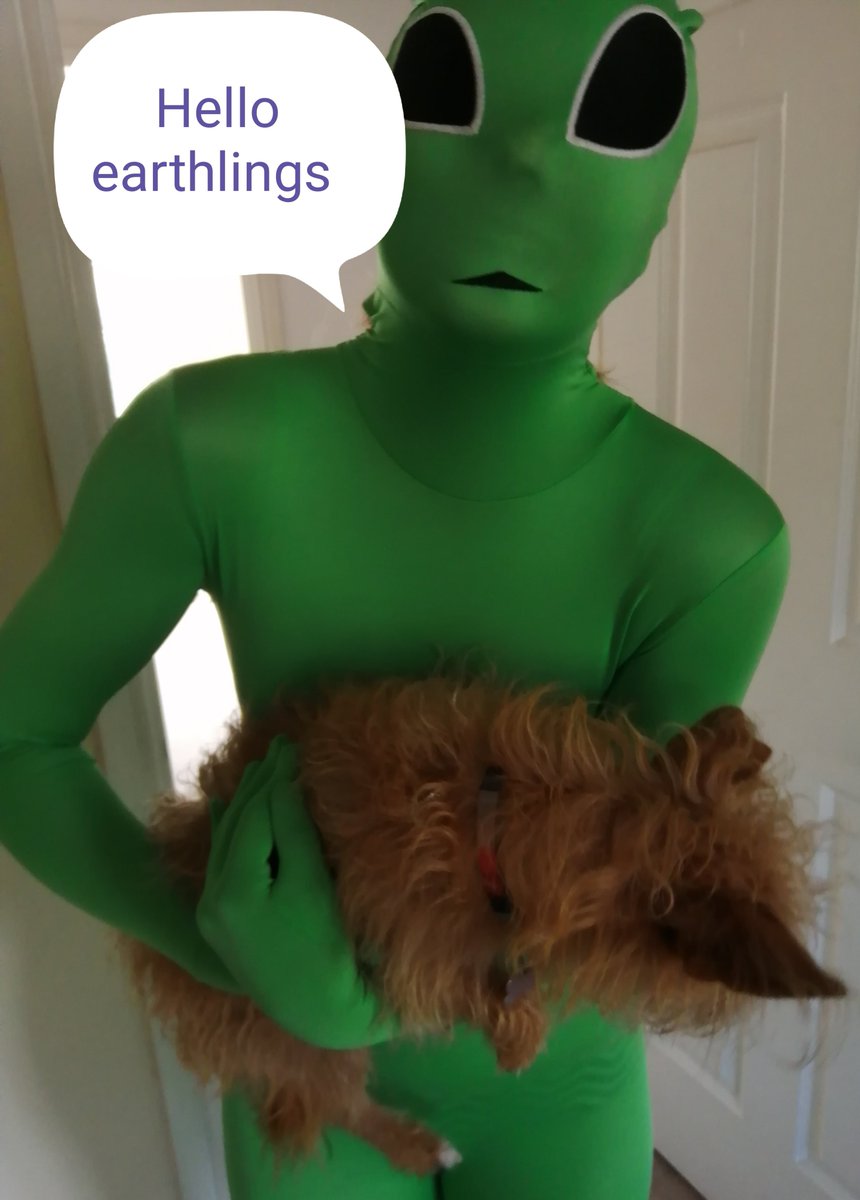 MrTed01's tweet image. @HarryHill Alan paid us a visit 😂😂😂😂 #alanthealien #alienfuncapsule #crazyalien #lifefromanotherplant