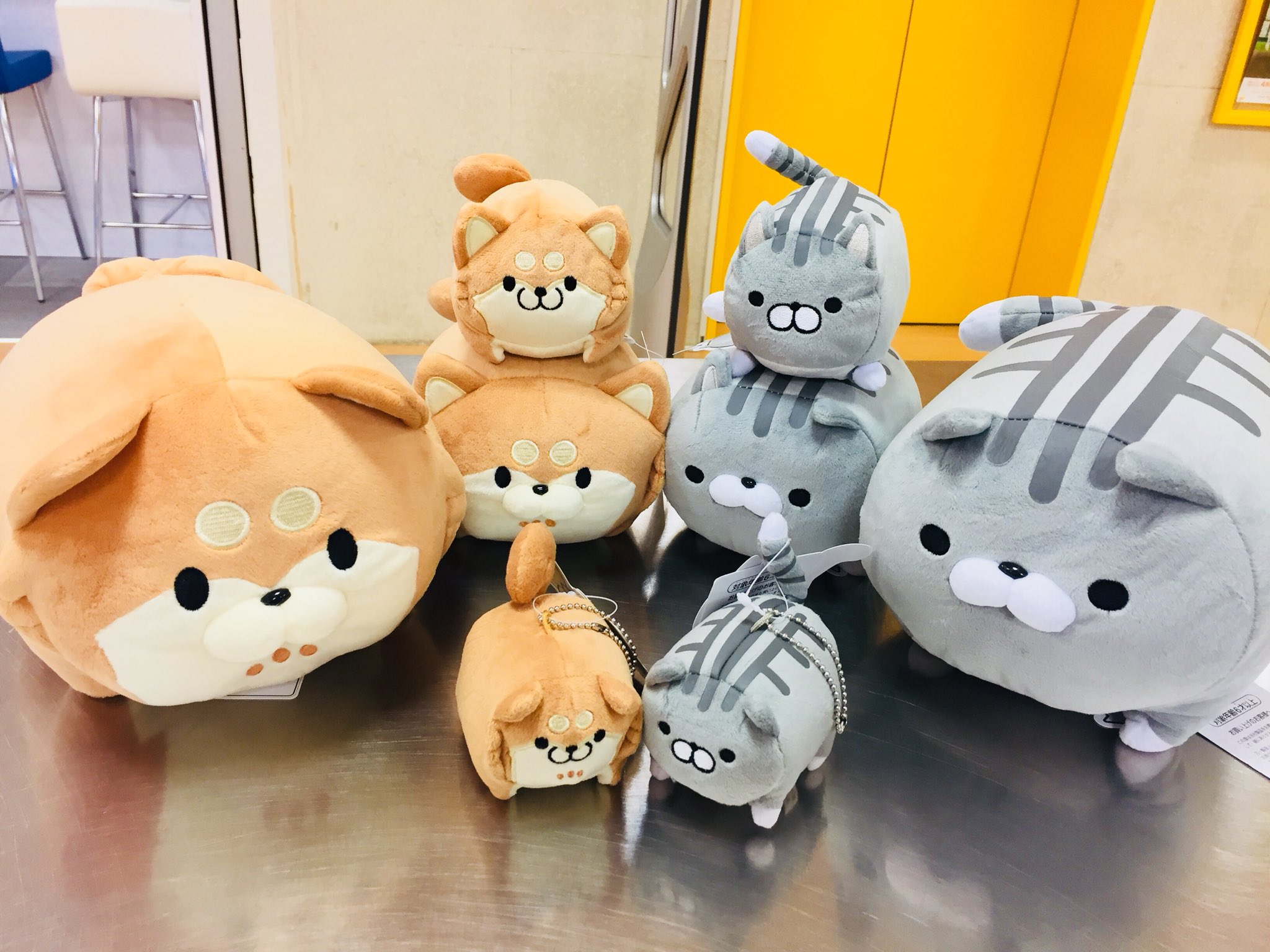 仙台ロフト on X: 