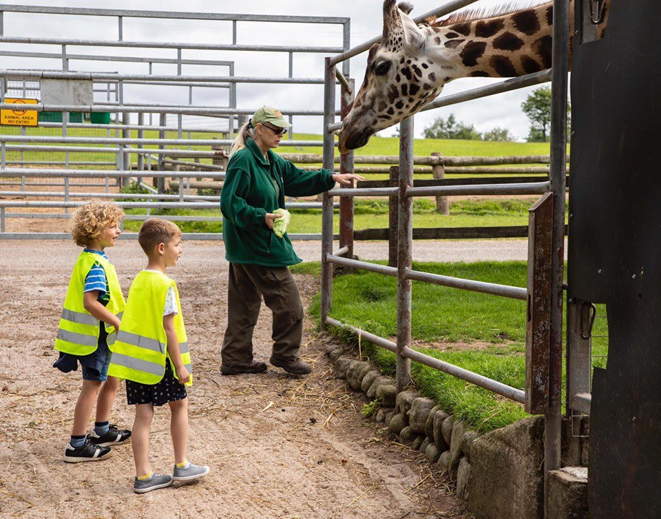 Fota Wildlife Park offer Behind The Scenes tours that give you a chance to take a peek at some behind the scenes activity, ask the expert rangers some questions, and even feed some animals! 🦁 #FotaWildlifePark #RadissinBluCork #EastCork