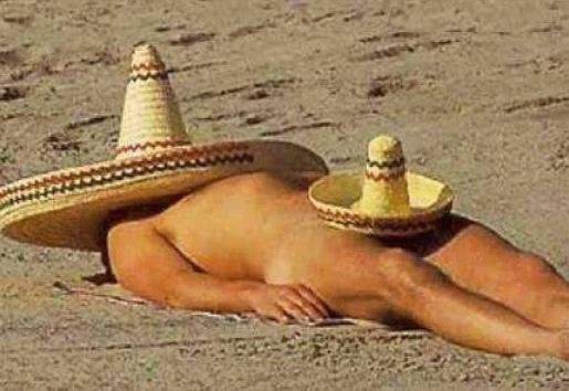 Aangezien het buiten #tropisch wordt en het dan 45+graden in de kas kan worden, gaat ons personeel een #tropenrooster draaien. Dit betekent dat ze ’s ochtends eerder beginnen en ’s middags optijd stoppen om met hun Sombrero op het strand te gaan liggen. <a href="/Flora_News/">Flora_News</a> <a href="/bloemisterij/">Bloemisterij</a>