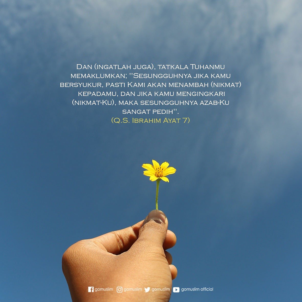 Quotes Bersyukur Hari Ini - Daily Quotes