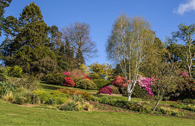 SwanseaInbloom's tweet photo. All entrants to the SIB main event are invited to bring one guest to the awards ceremony at 7pm on September 11 in Swansea's YMCA theatre 1 The Kingsway, Swansea SA1 5JQ. Judging for the competition is now under way and goes on until July 31st. #Swansea #gardening #TheGower https://t.co/EcZrBqKHNa