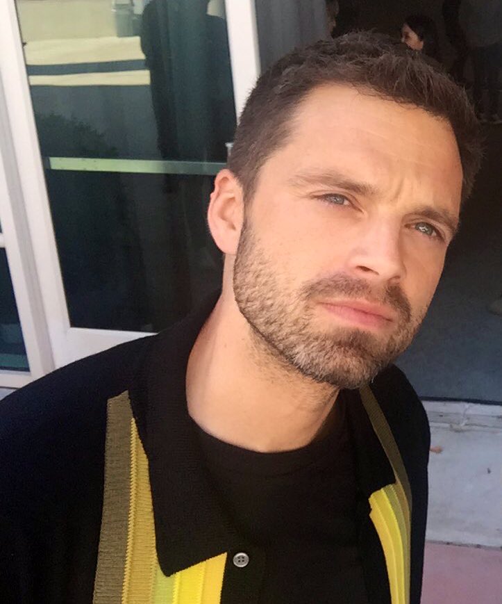 cevanspascal's tweet photo. sebastian stan, actor, karaoke performer, meme provider, part time model https://t.co/SEpVb1g1un
