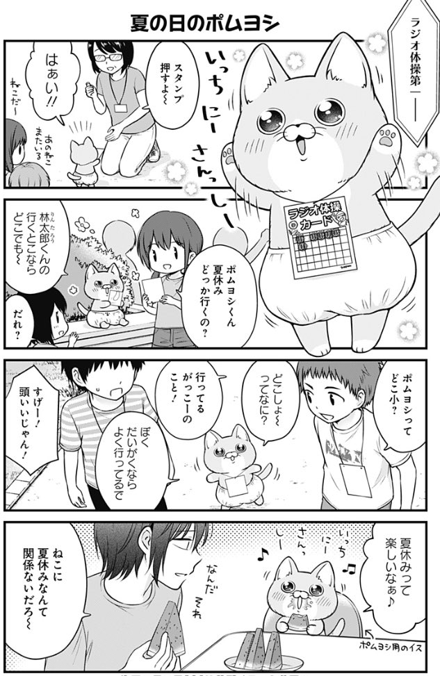夏を過ごすねこたち
#ポムヨシ 