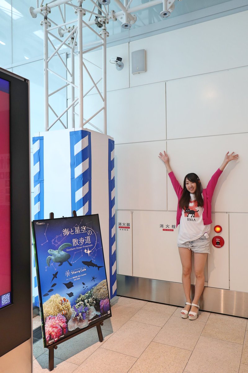パン على تويتر りんかさん Tシャツ撮影会 羽田空港国際線 0729suzukawa パン على تويتر りんかさん Tシャツ撮影会 羽田空港国際線 0729suzukawa