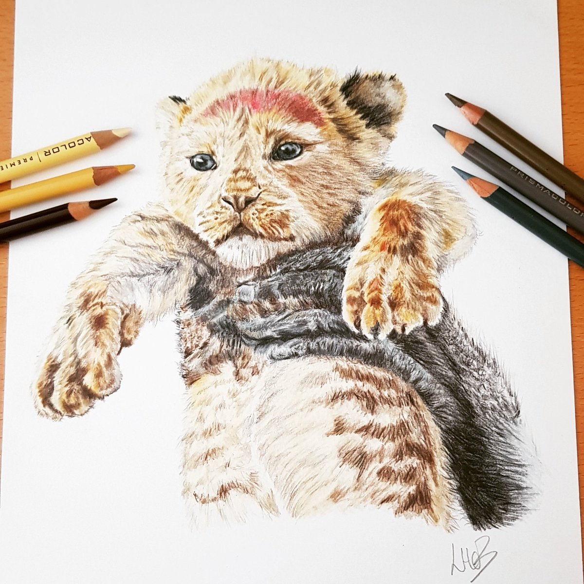 Simba all done, ready for video editing now. Can't wait to see the film. #ArtistOnTwitter
#finishedpiece #drawdaily  #realistart #realism #animalartist #animallovers #filmfanart #simba #lionking #lionking2019 #lynhebbart