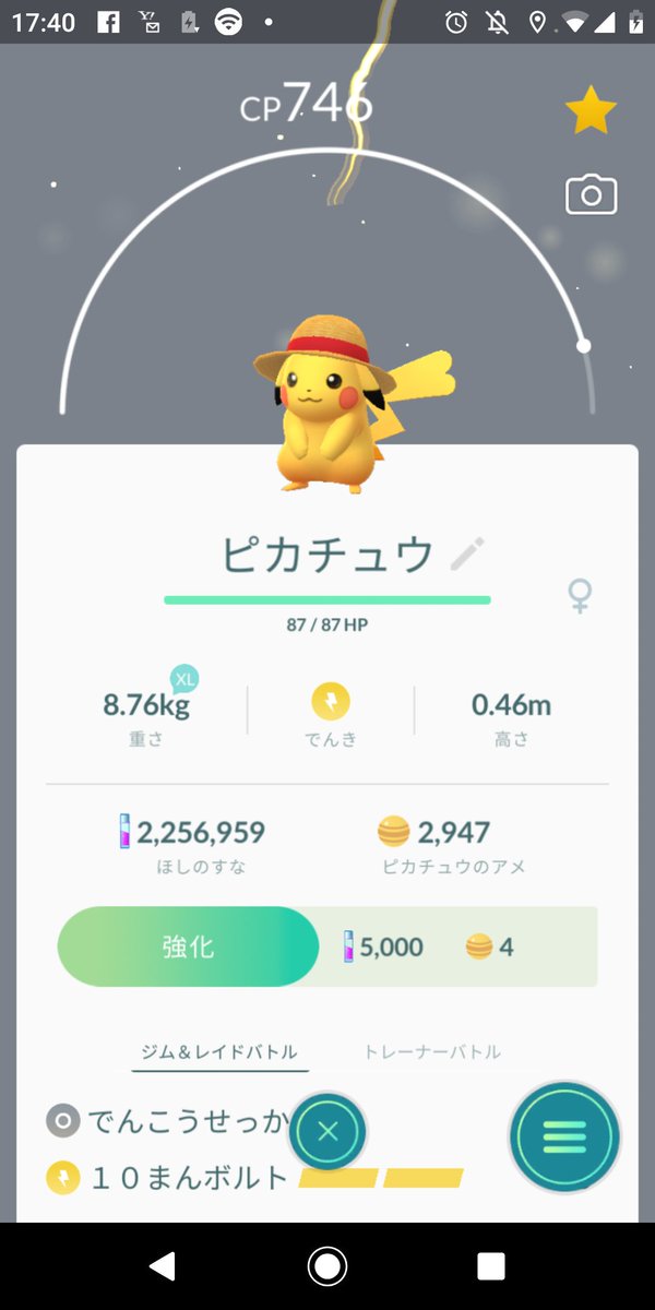 ワンピースコラボ