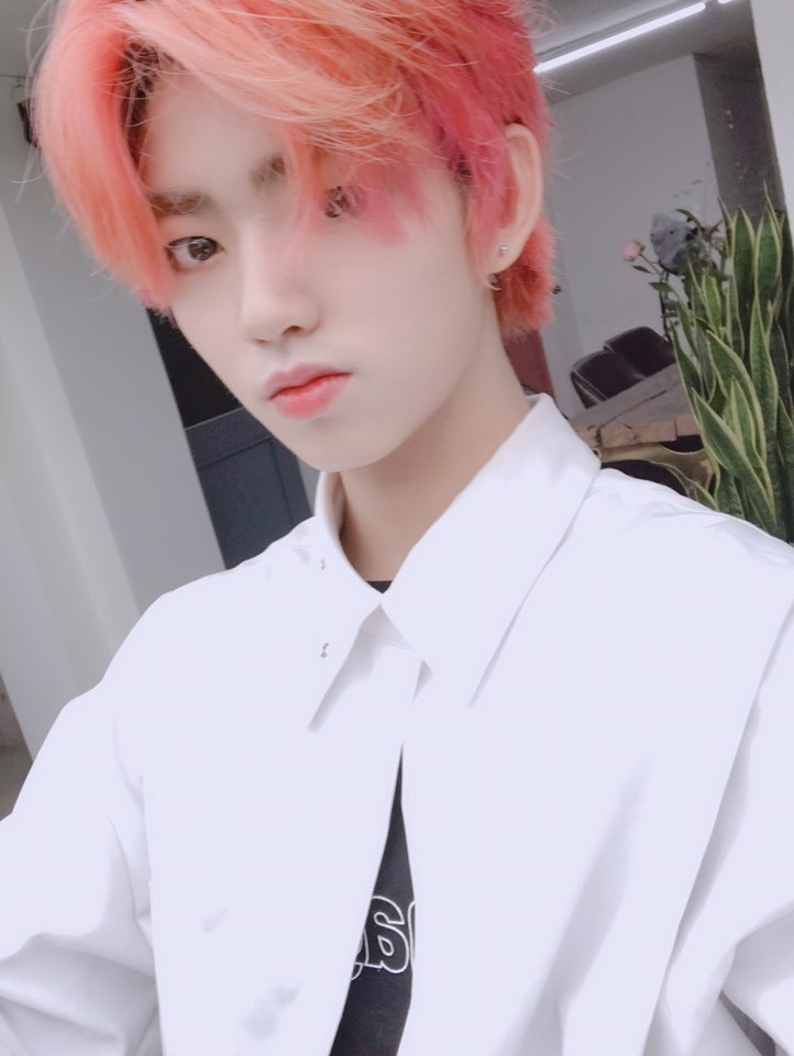 원더나인(1THE9) tweet media