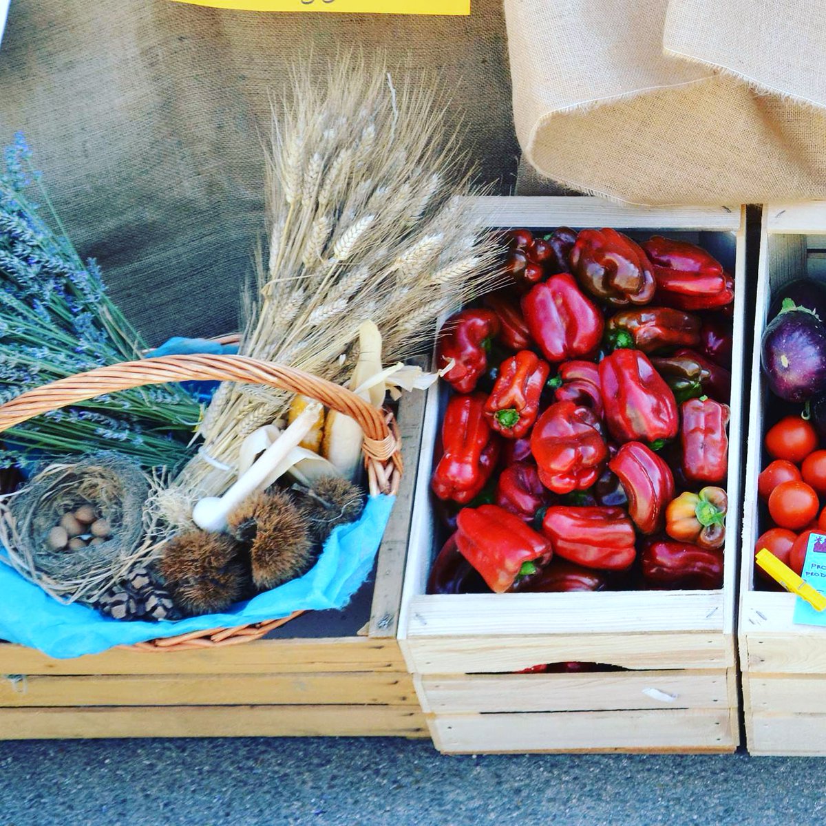 festivalSIDDI's tweet photo. ▶️ VENERDI’ 26 LUGLIO 2019 Ore 19.30. Piazza L. Da Vinci
Cibo, sviluppo e libertà
Come il cibo può aiutare la crescita di un territorio.🍛🥗

Coordina Roberta Ida Muscas, esperta di sviluppo rurale e cultura.

#appetitosamente2019 #incontro #cibo #territorio https://t.co/n4HhUmfjhV