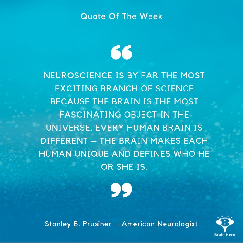 brainherogame's tweet photo. Neuroscience is definetely exciting. 😀
#brainherogame #brainhero #neurosciene #neurofeedback #game #startup #future #brain #brainactivity #qoute https://t.co/TXDVLxNgX4