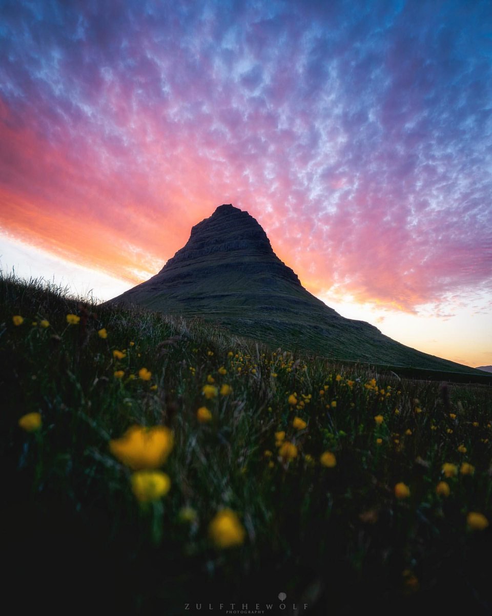 IcelandAdvice's tweet photo. Summer nights at Kirkjufell mountain!🌾 Did you know that the name "Kirkjufell" means "Church mountain"?
📸@zulfthewolf https://t.co/hFZdEDFdXq