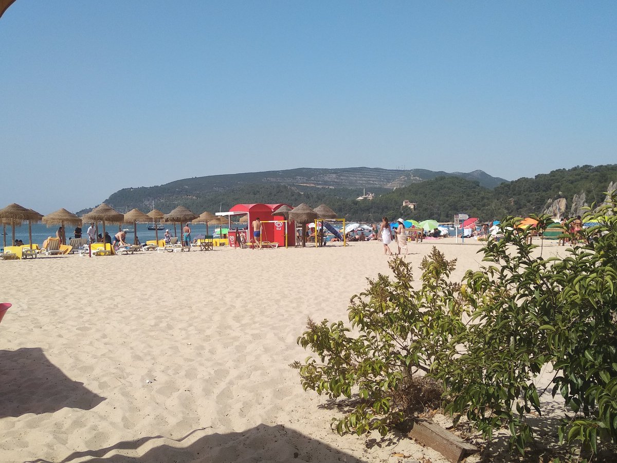 92kTours's tweet photo. We invite you to come to the beautiful beachs in the Setúbal region, with a fantastic view to Serra da Arrábida
#92ktours #dailytrips #lisbontours #portugaltours #happy #troia #goodvibes #beachs #arrabidatour https://t.co/zOobwJeFMG