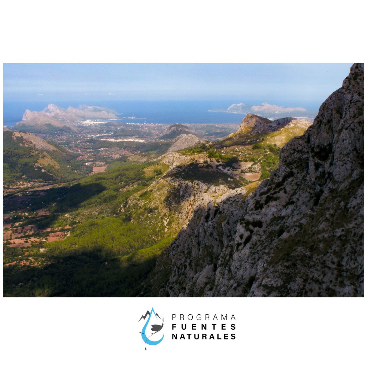bioscicat's tweet photo. Las fuentes naturales son el mayor tesoro biológico de la Serra de Tramuntana. 
Su estado nos ha permitido comprobar una vez más como el agua entreteje y sostiene las redes de la vida en este irrepetible paisaje.

#programafuentesnaturales #water #mallorca #tramuntana #science https://t.co/ARpc9iK2WZ