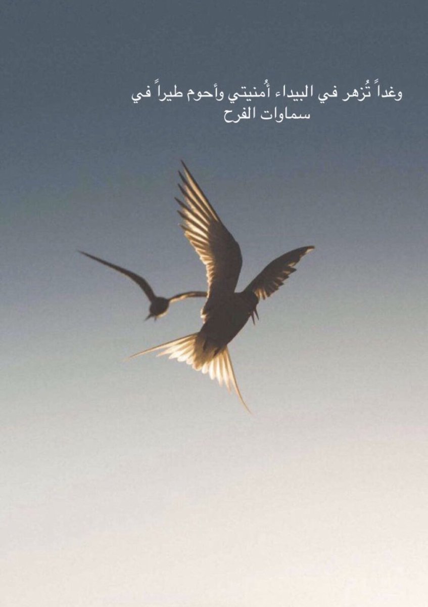 وغداً تُزهر في البيداء أمنيتي وأحوم طيراً في سماوات الفرح 

#صلالة