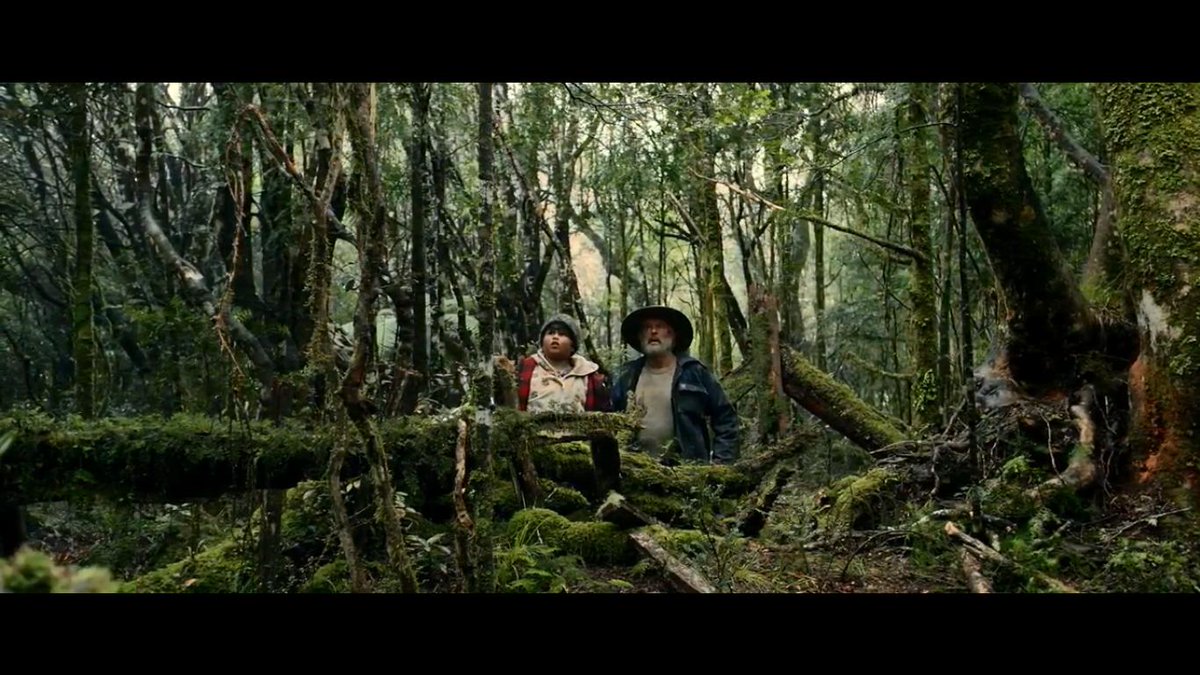 туристы в джунглях. в темный лес забрались дикари. апокалипто 2006 мэл гибсон. виталий сундаков экспедиции. в темный лес забрались дикари.