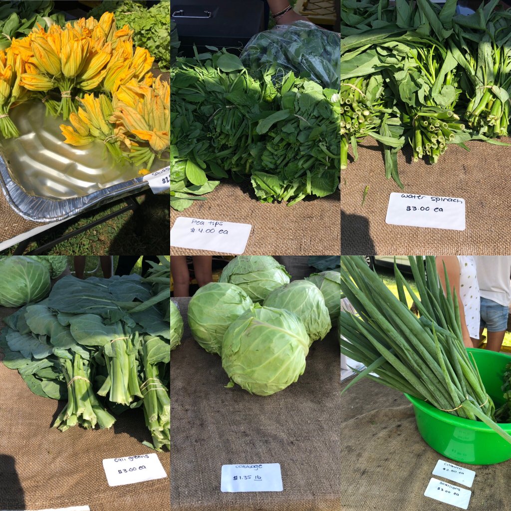 AttyFrmsMkt's tweet photo. Looking for something a little different this weekend? Stop by Orient Farms and check out there selection of vegetables native to SouthEast Asia, but grown fresh in Massachusetts. #squashflower #amaranth #caligreen #peatips #bakchoy #cabbage https://t.co/9XNc6PVnMS