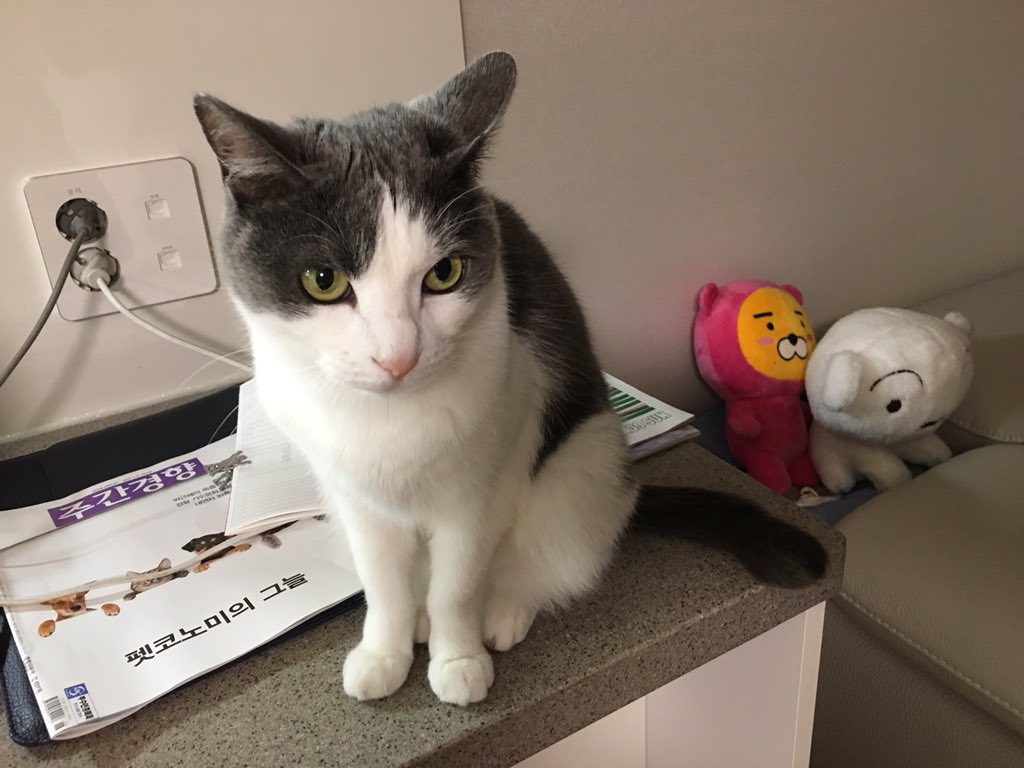 honeybinggot tweet media