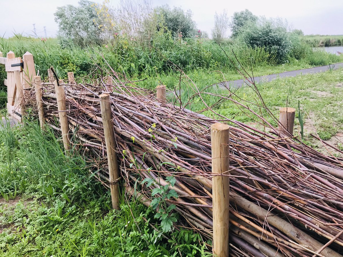Beautiful sustainable Willow branch fence in Holland.