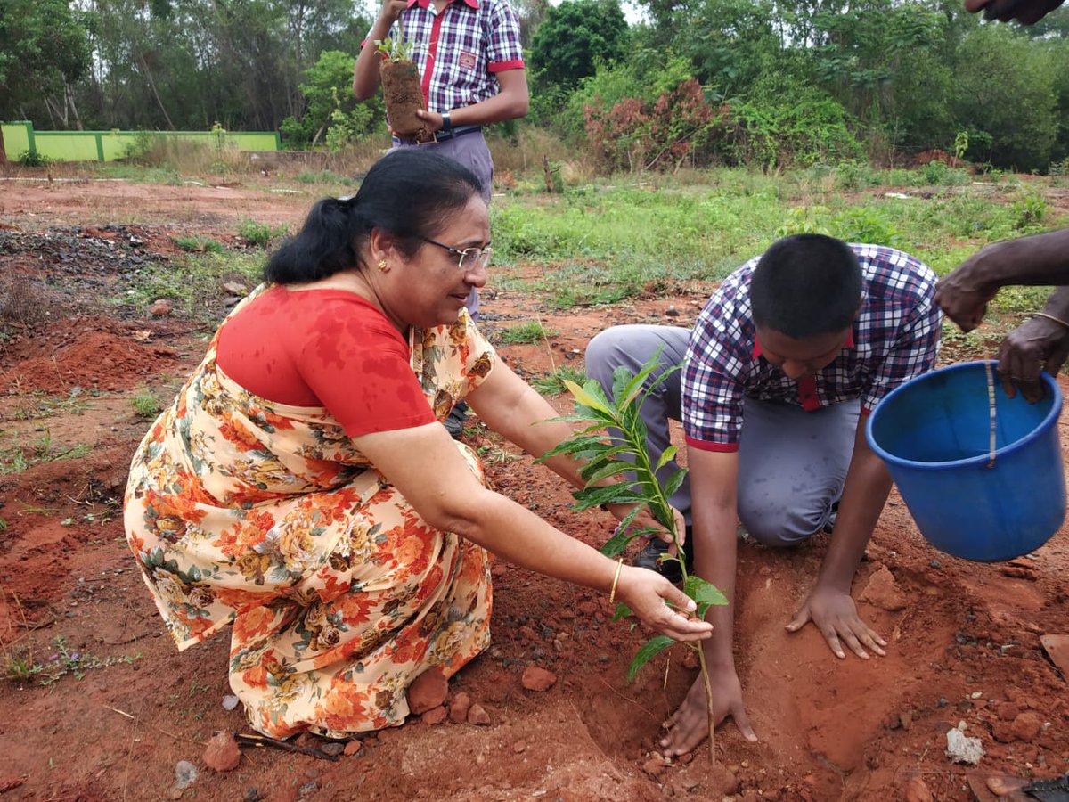 KV2_Pondy's tweet photo. Science and Eco Club Involved in Plantation on 22.07.19 KV No.II Pondicherry https://t.co/uvZJUrBxbP
