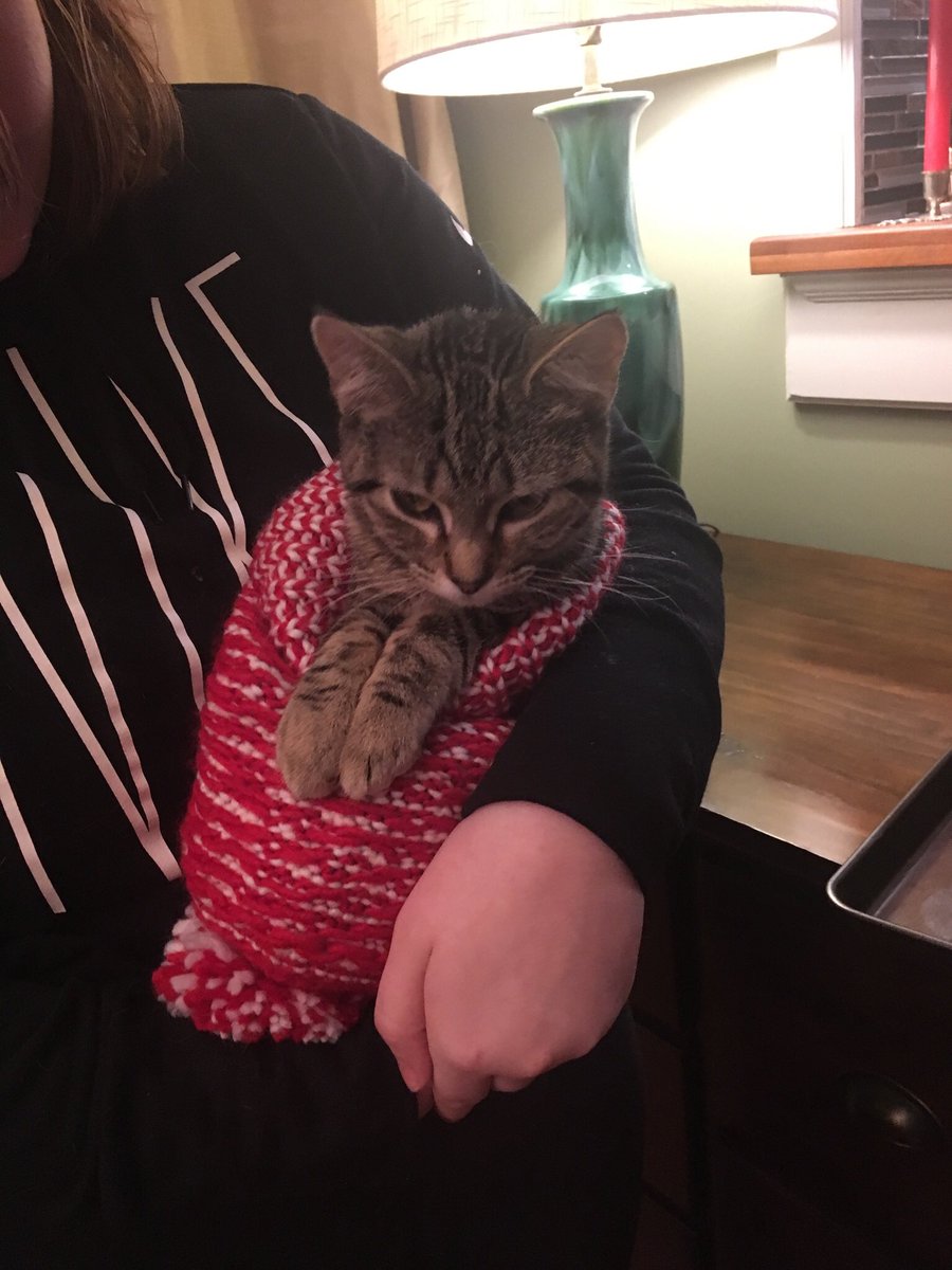Intern78's tweet photo. @tooemoforyou___ //This is Ramona https://t.co/y5BmKdXr5I