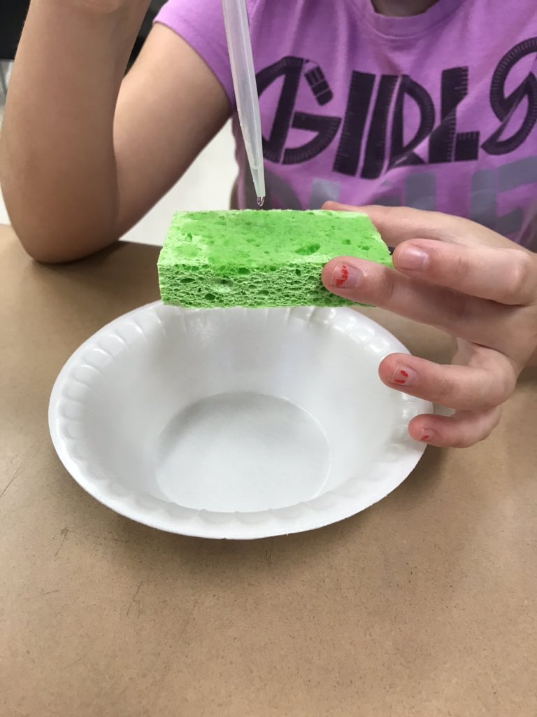 Suggsteacher's tweet image. How many water drops will it take to fill our “cloud” and cause some water droplets to fall??
#CMESRocketReaders
#2019ccsrtacamp