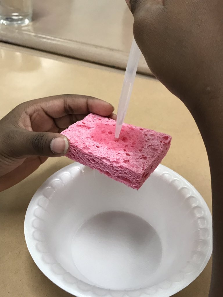 Suggsteacher's tweet image. How many water drops will it take to fill our “cloud” and cause some water droplets to fall??
#CMESRocketReaders
#2019ccsrtacamp