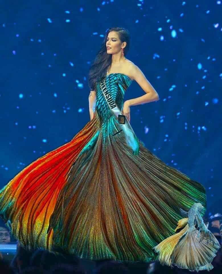 roadtomissth's tweet photo. ปลากัดไทยแลนด์ Siamese Fighting fish  👑🇹🇭
.
#RoadtoMissUniverse2019 
#MissUniverseThailand2019 
#MissUniverse #TeamThailand 
#มงสามมาแน่ https://t.co/FxRcGponk5