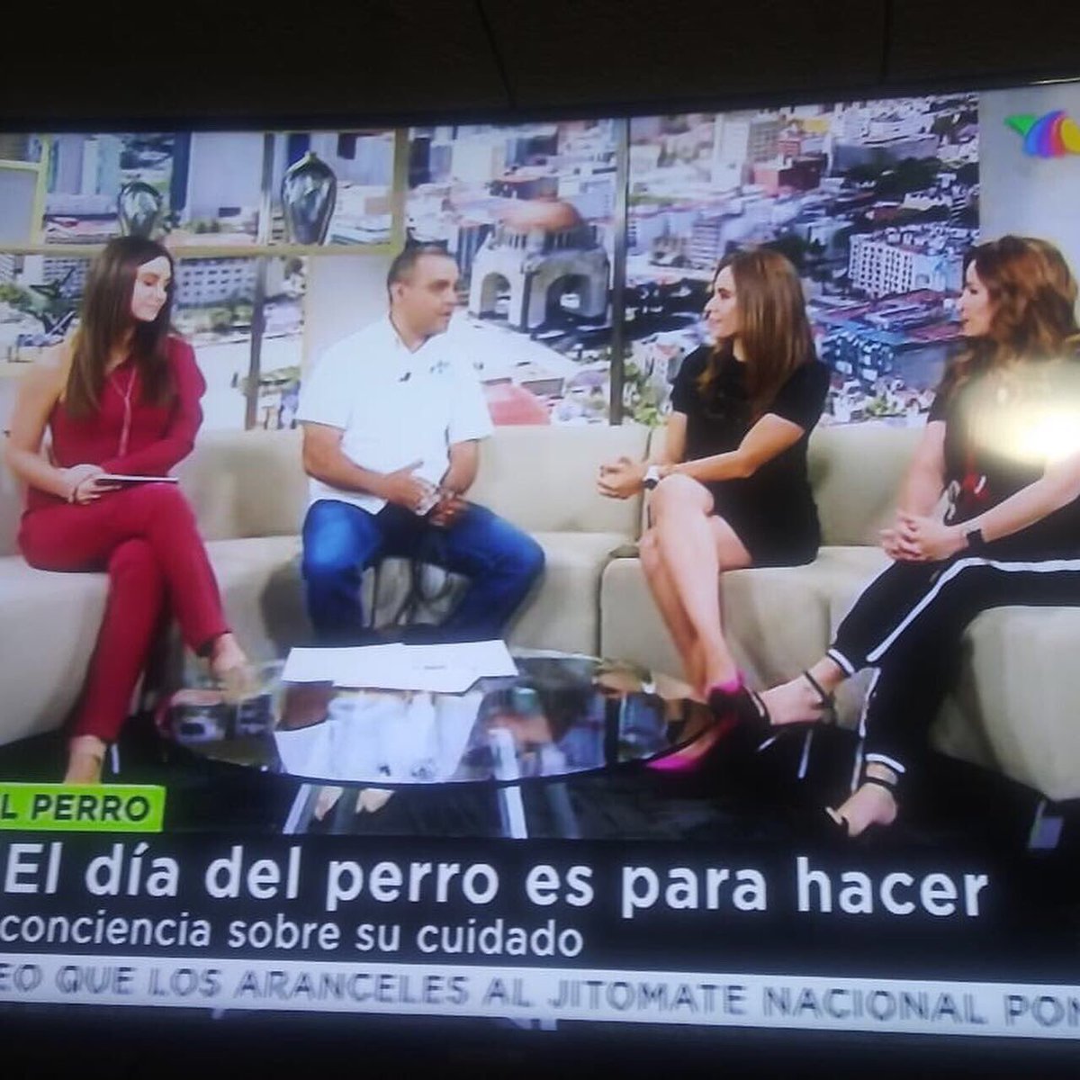 CarloCastroK9 tweet media